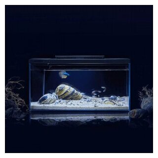 Умный аквариум Xiaomi Petkit Origin Intelligent Fish Tank Single Cylinder 10L - фотография № 1