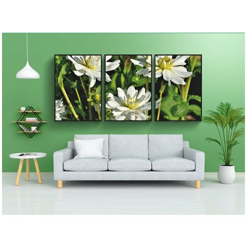 фото Набор модулных постеров для интерьера "георгины, георгины цветы, белые цветки" 60x90 см. в тубусе, без рамки lotsprints