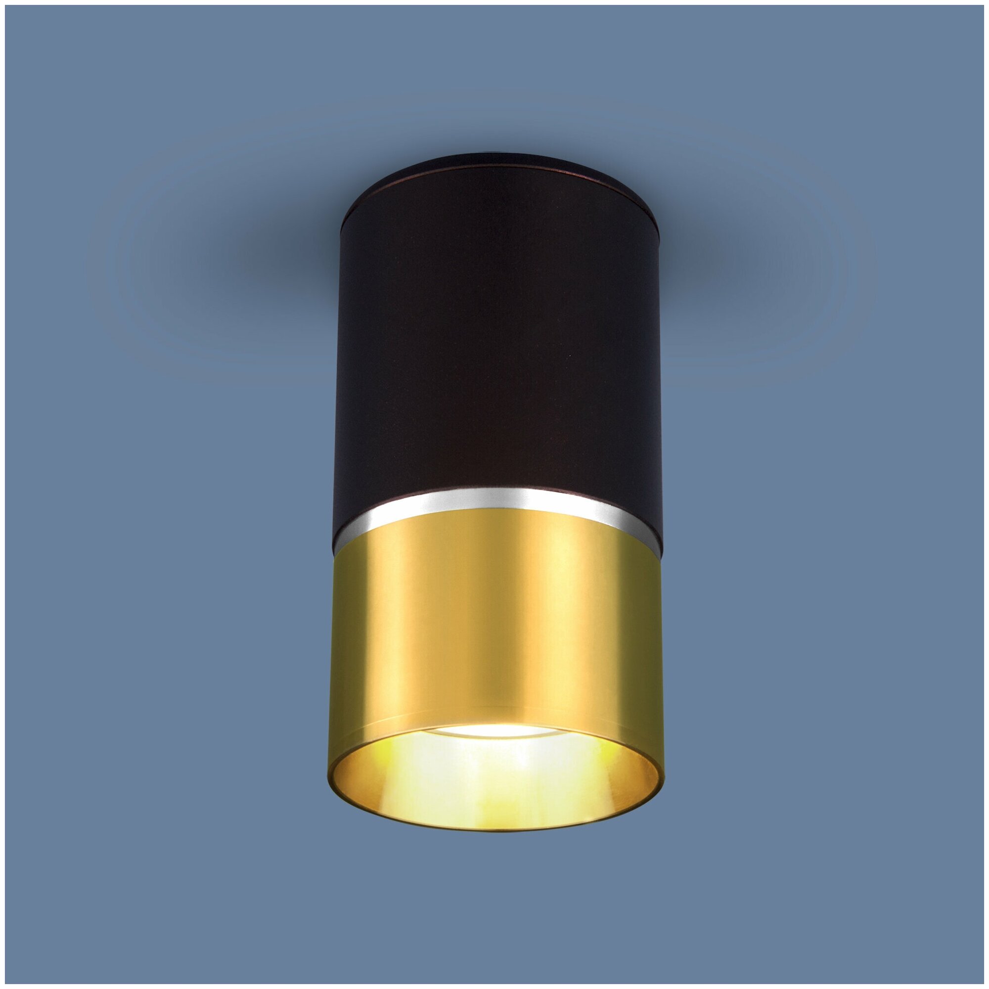 Накладной потолочный светильник DLN106 GU10