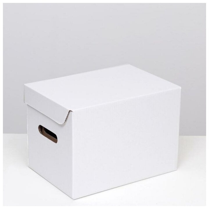 Коробка для хранения "А4", белая, 32,5 x 23,5 x 23,5 7261905