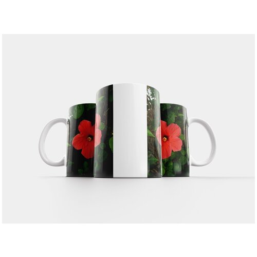 фото Кружка "гибискус, цветок, красный" 320 мл lotsprints