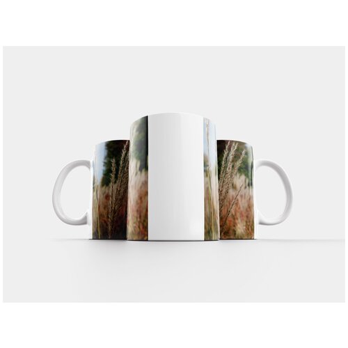 фото Кружка "пампасная трава, трава, декоративная трава" 320 мл lotsprints
