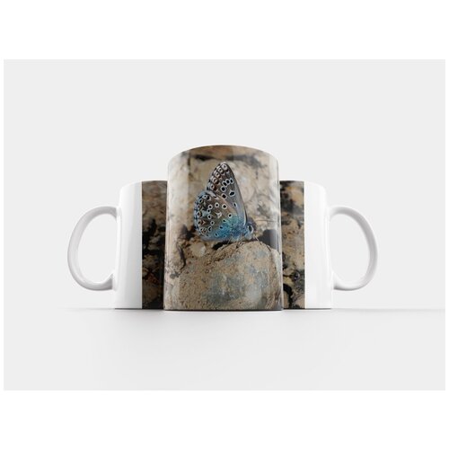 фото Кружка "бабочка, голубая бабочка, псевдофилоты паноптес" 320 мл lotsprints