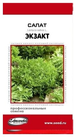 Салат Экзакт, 10 семян