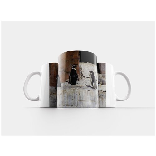 фото Кружка "пингвины, самрек, путешествовать" 320 мл lotsprints