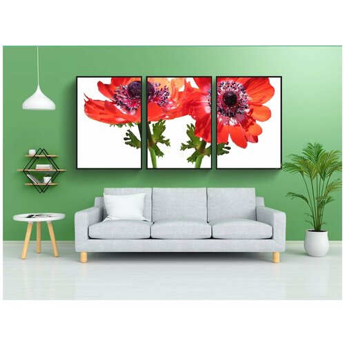фото Набор модулных постеров для интерьера "красный цветок, анемон, стебли" 60x90 см. в тубусе, без рамки lotsprints