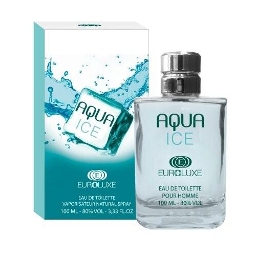 Euroluxe Туалетная вода для мужчин Aqua Ice (Аква айс) свежий, фужерный, спрей 100 мл