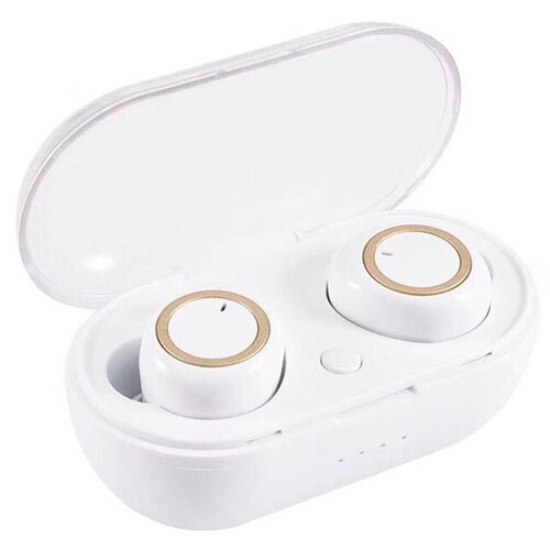 BandRate Smart BRSTWSDT2WG 275000₽