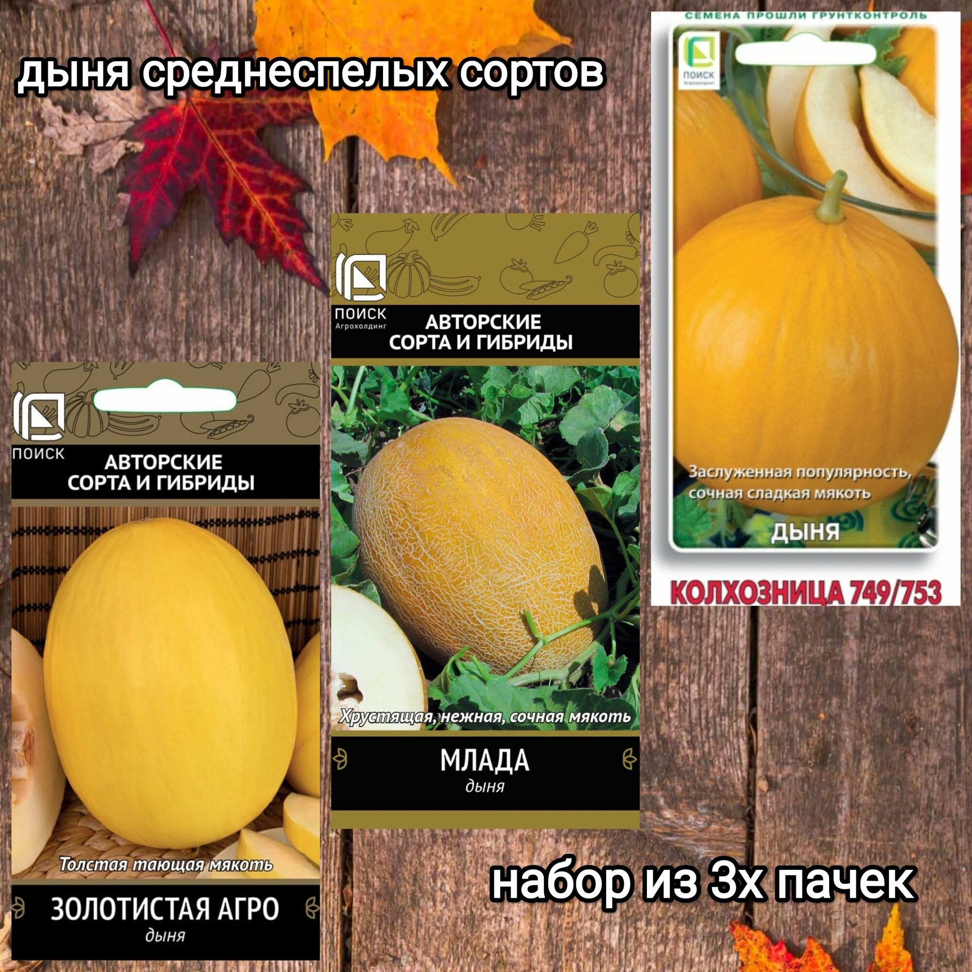 Дыня Золотистая Агро Млада Колхозница семена среднеспелых популярных сортов набор 3 пачки поиск Агрохолдинг