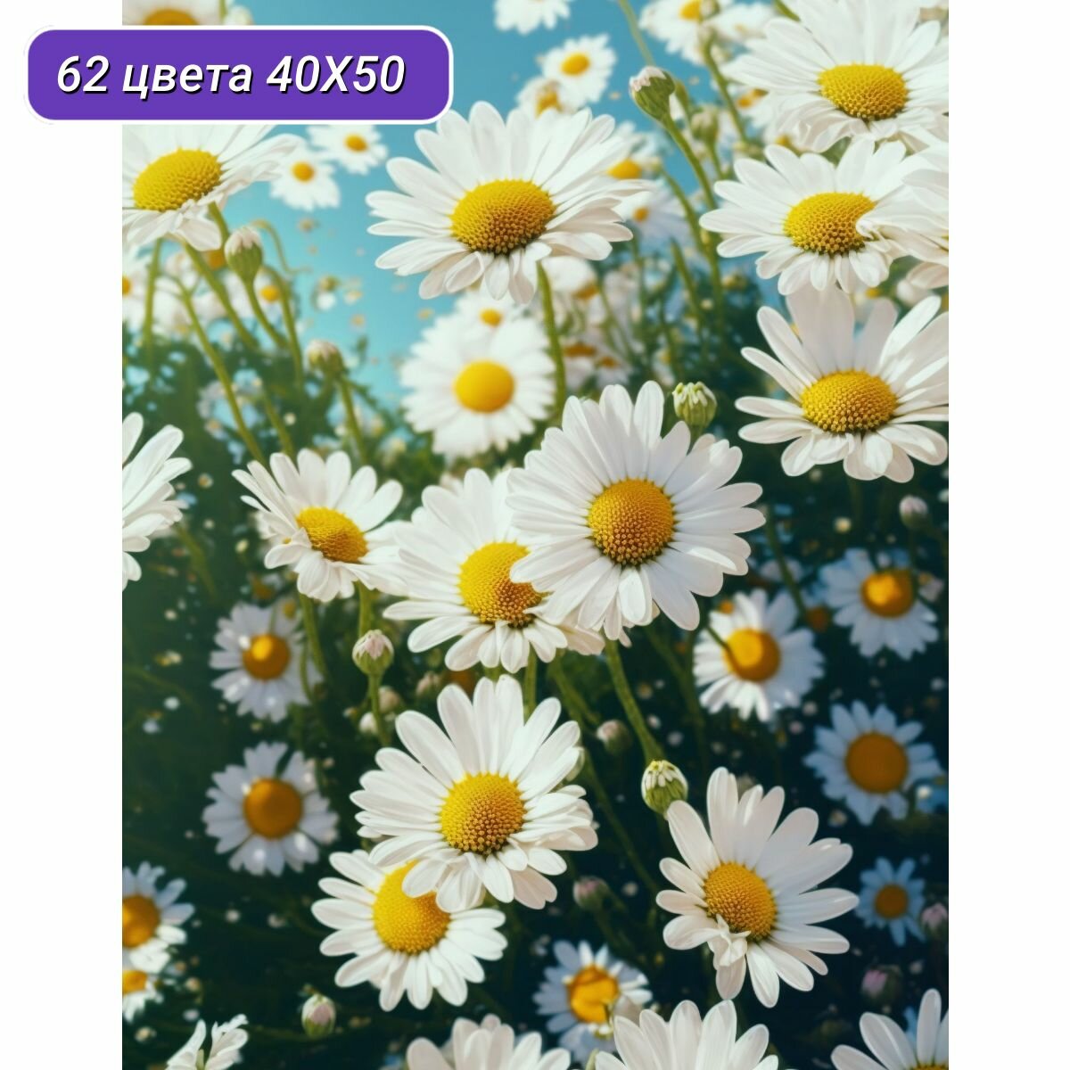 Cr450220 Алмазная мозаика 'Ромашки полевые'  40х50см Cristyle