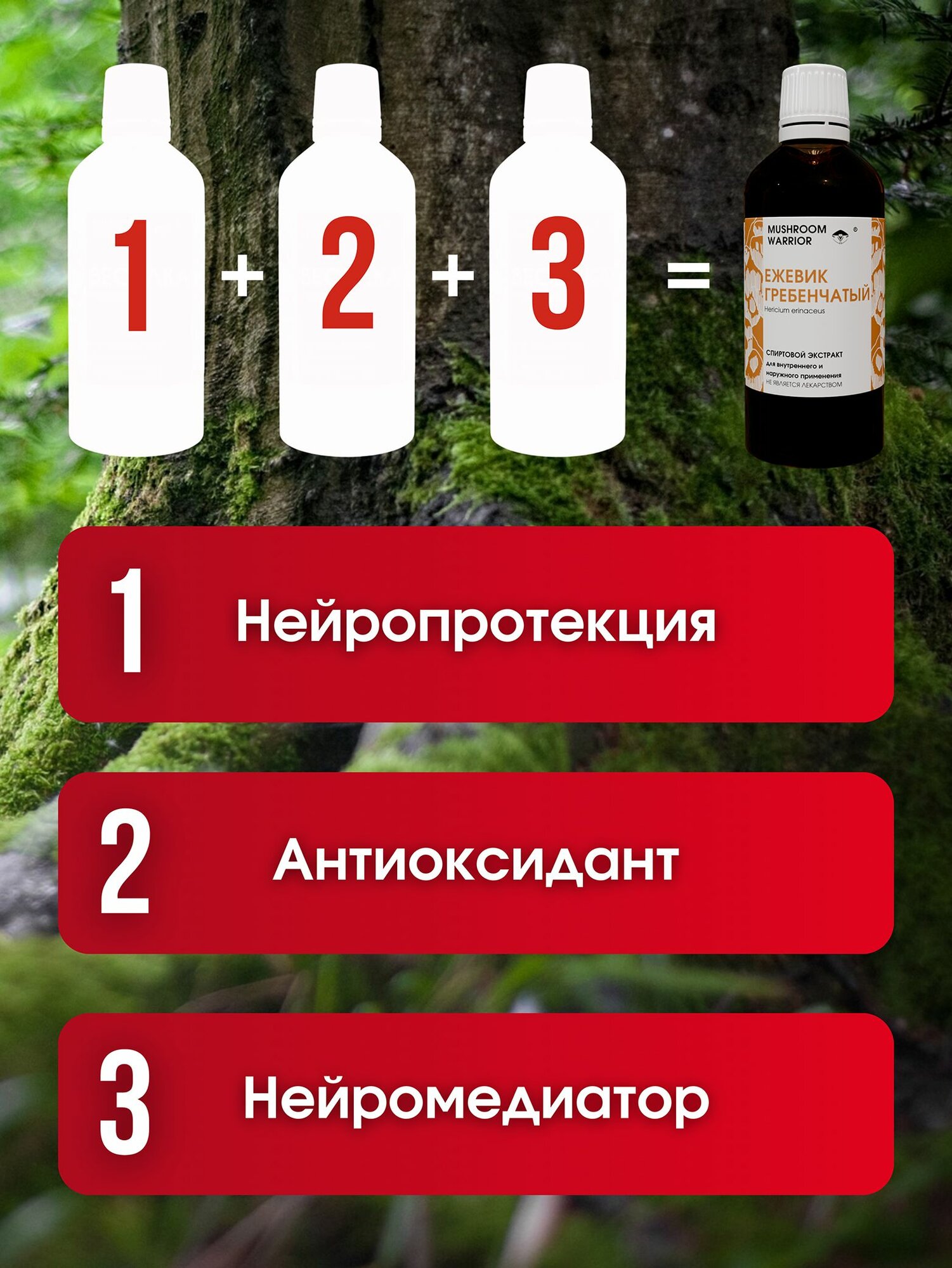 Картинки Ежовик (Ежевик) гребенчатый 100 мл спиртовой экстракт, настойка, ноотроп для мозга, Mushroom Warrior, комплексная пищевая добавка