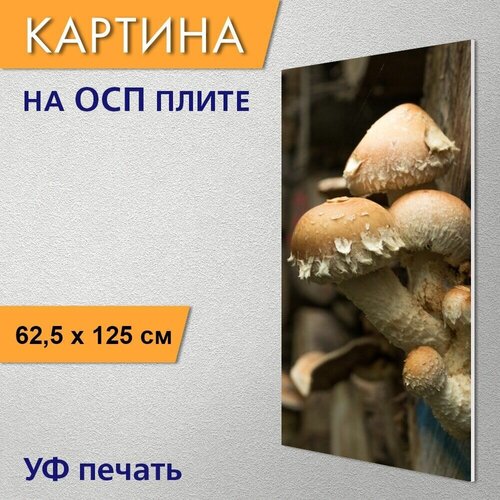 Вертикальная картина 