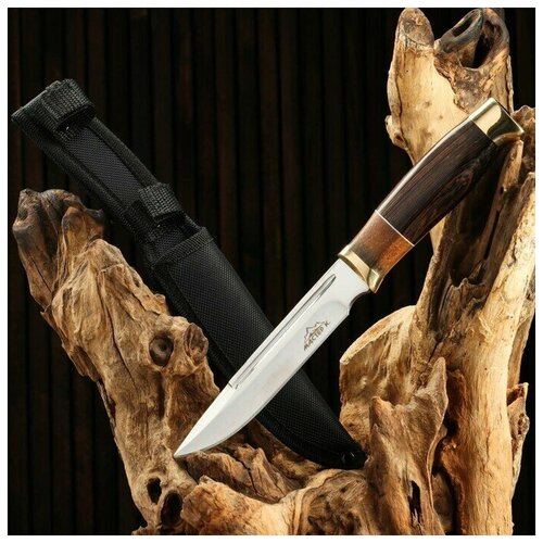 фото Нож туристический, нож охотничий рагнар, рукоять дерево, с золотым кольцом, лезвие 15 см нет бренда
