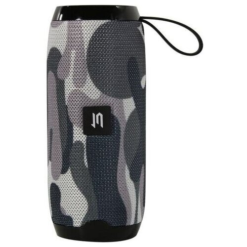 Портативная акустическая система Jeta PBS-80 132400₽