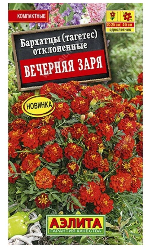 Семена. Бархатцы отклоненные 