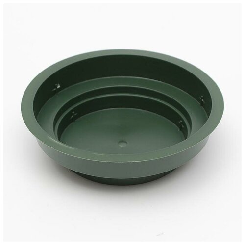 Oasis Junior Чаша круглая для флористической губки, зеленая, D12 см х 3 см