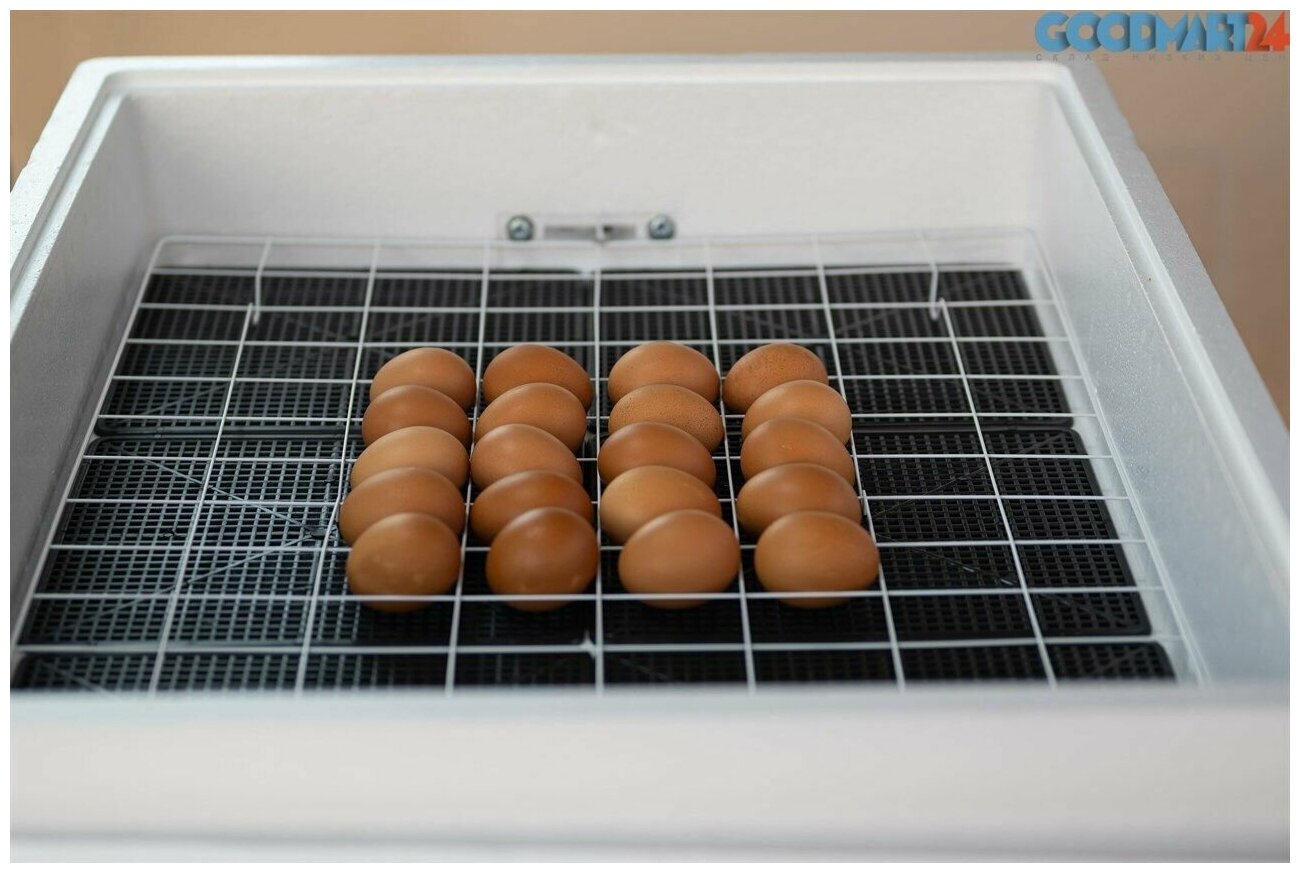 Инкубатор Несушка 104 яйца автоповорот - фотография № 2