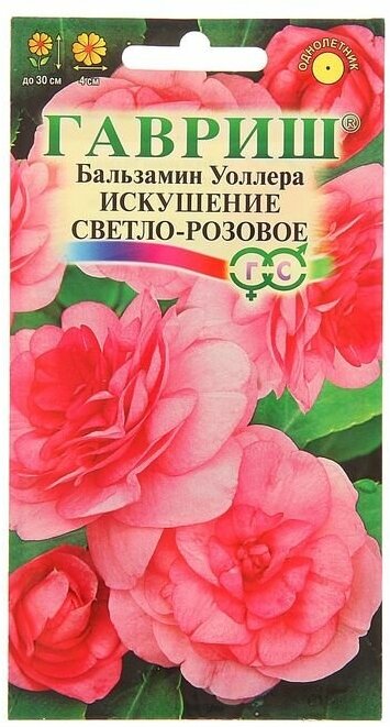 Семена цветов Бальзамин Уоллера "Искушение светло-розовое" F1, О, 4 шт. (1шт.)