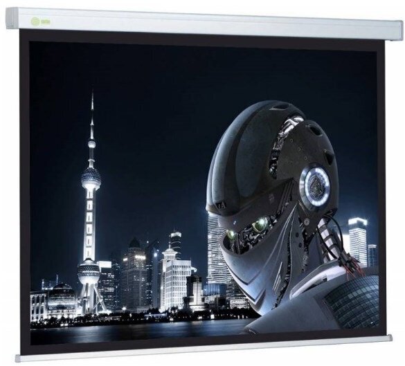 Экран для проектора Cactus Wallscreen CS-PSW-206x274