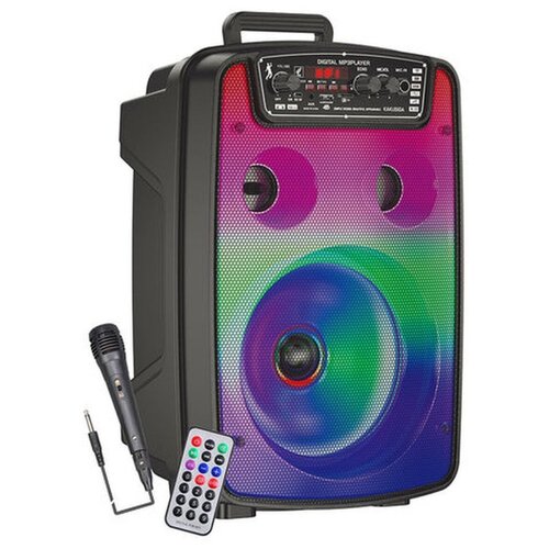 Колонка беспроводная Rapture-688 Микрофон Bluetooth RGB Пульт черная 243000₽