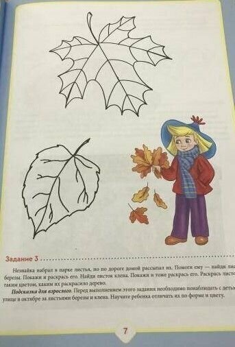 Добро пожаловать в экологию! Рабочая тетрадь для детей 3-4 лет (младшая группа) - фото №4