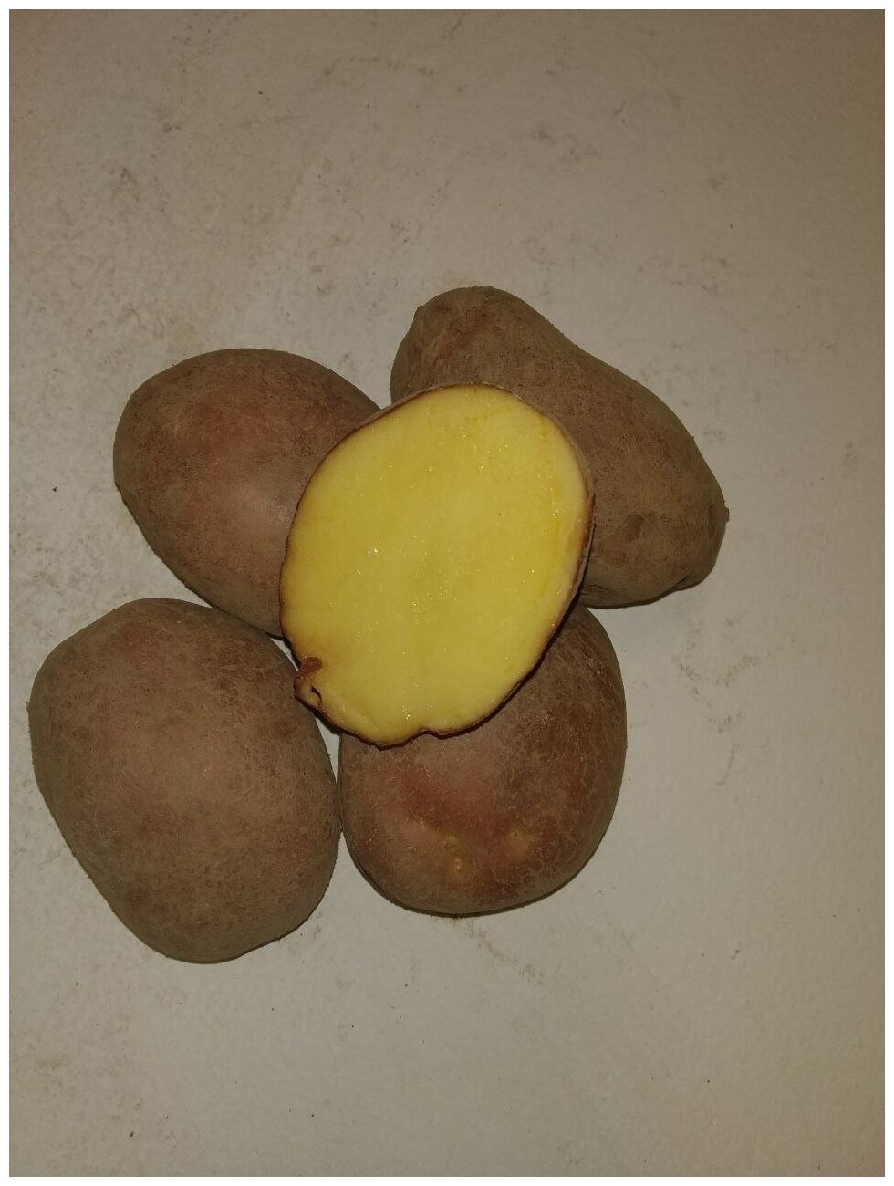 Картофель семенной лапоть клубни 4 кг - фотография № 5