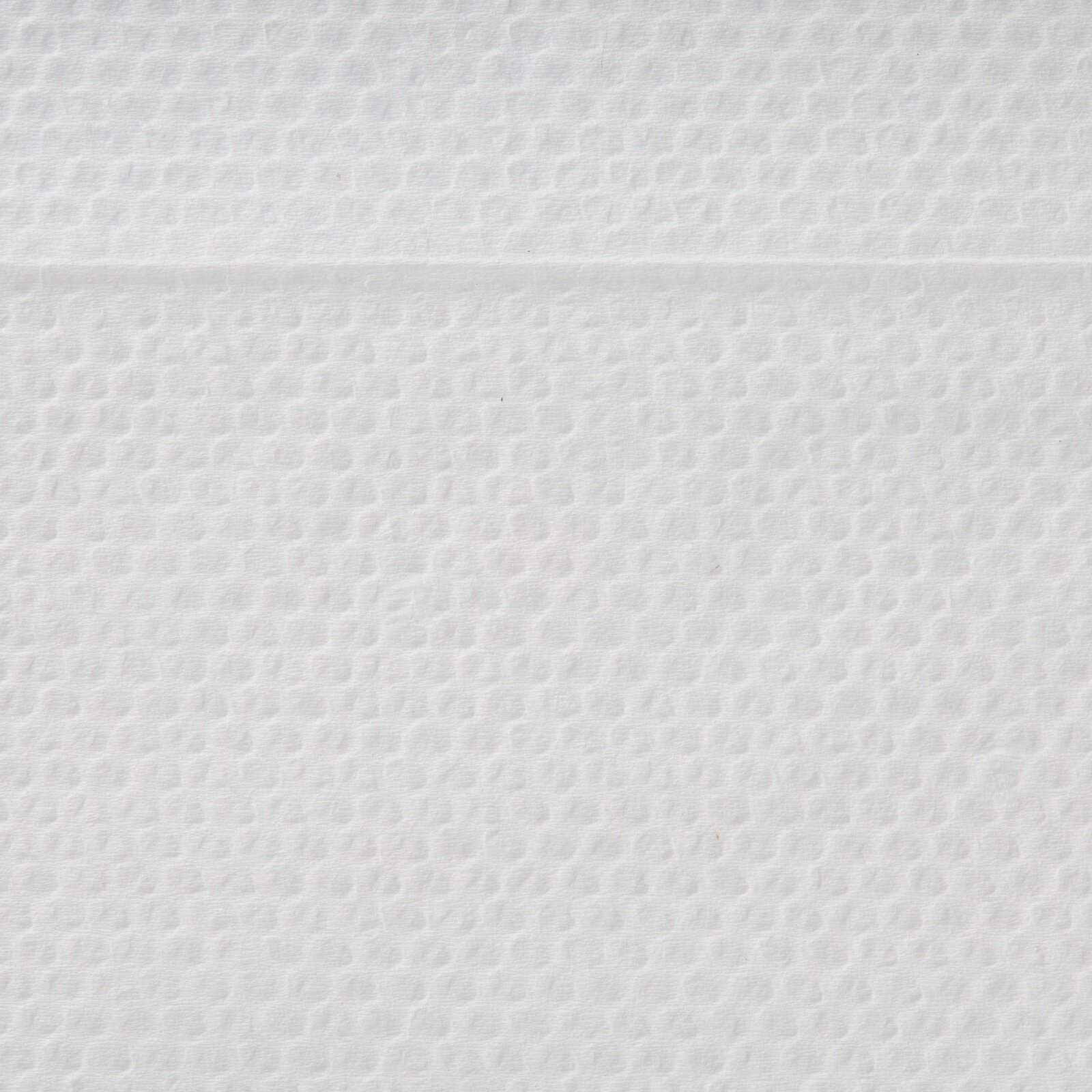 Полотенца бумажные Focus Extra 1-нослойная 250лист. белый (упак.:12шт) (5044994) - фото №3