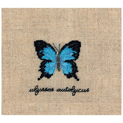 фото Набор для вышивания: papillons ulysses autolycus (бабочка ulysses autolycus) le bonheur des dames, 5*5,5 3628