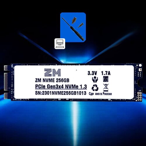 SSD 256GB m2 Nvme ZM 139900₽