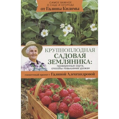 Крупноплодная садовая земляника: проверенные сорта, способы повышения урожая