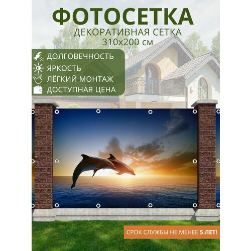Фотосетка для забора / фотозабор - 310x200 см. Сетка с рисунком для беседки, ворот (ФГ)