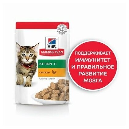 Пауч Hill's Science Plan Kitten (Хиллс Киттен) для котят с курицей в соусе 0,085 кг - фотография № 7