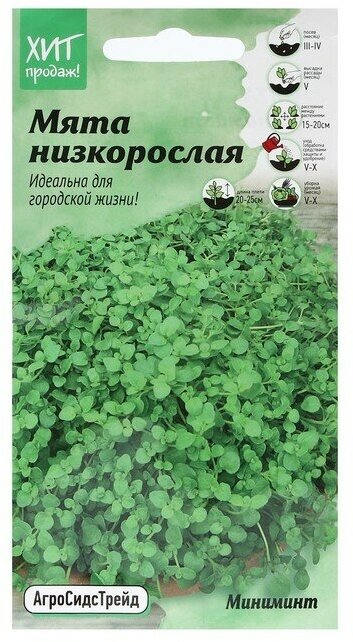 Семена Мята 