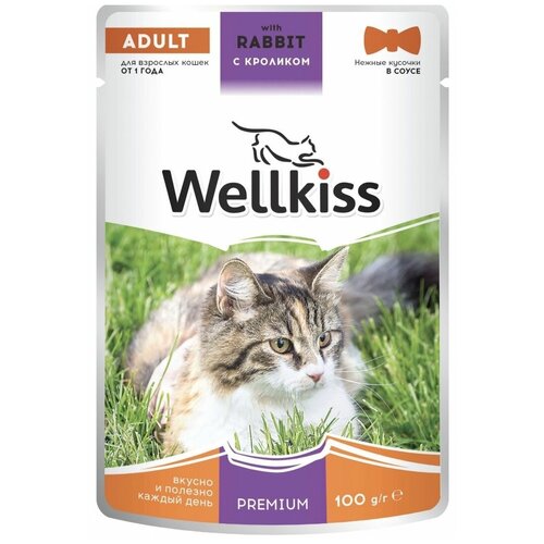 Wellkiss Adult влажный корм для взрослых кошек, с кроликом в соусе, 100 г, 14 шт