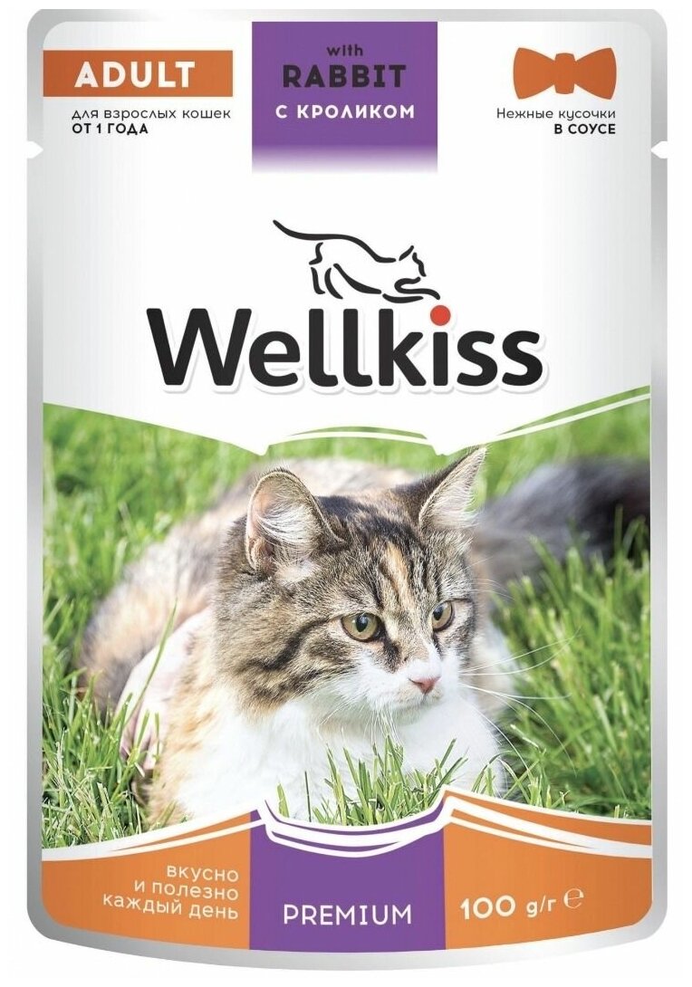 Wellkiss Adult влажный корм для взрослых кошек, с кроликом в соусе, 100 г, 14 шт
