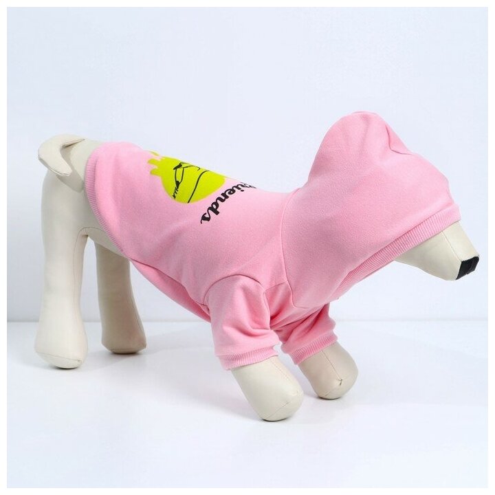 Толстовка для собак(футер петля двунитка) L Розовый Пушистое счастье 9345560 . - фотография № 2