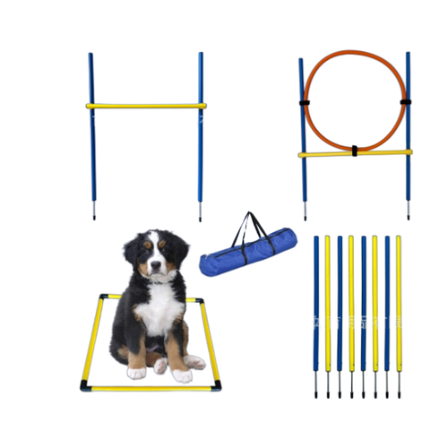 Набор для аджилити для собак, Bentfores (барьер, барьер-шина, вертикальные стойки, квадрат, 34537)