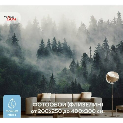 Фотообои на стену Модный Дом Лес в Тумане 350x300 см (ШxВ)