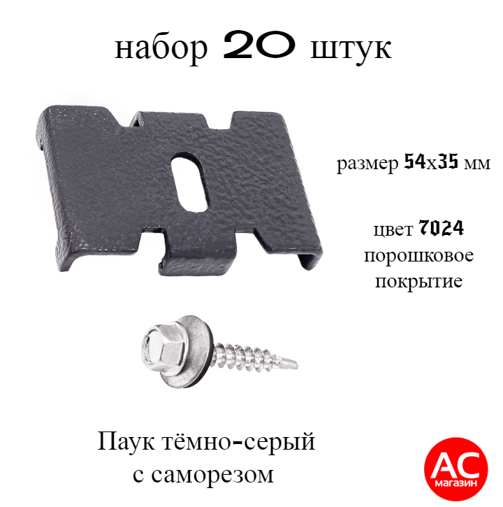 фото Паук серый