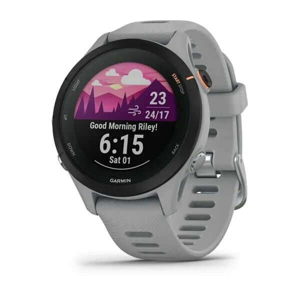 Смарт-часы Garmin Forerunner 255S Powder Gray 010-02641-12