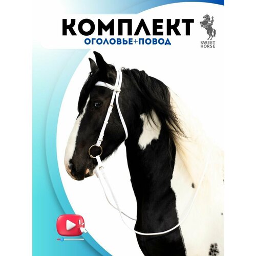 Sweethorse / Комплект оголовье + повод для лошади / Full