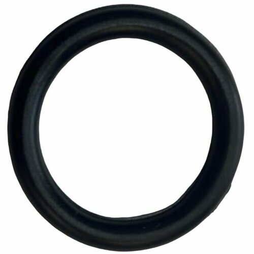 Кольцо уплотнительное защитное шкворня подшипника 24-3001017 для ГАZ-2410