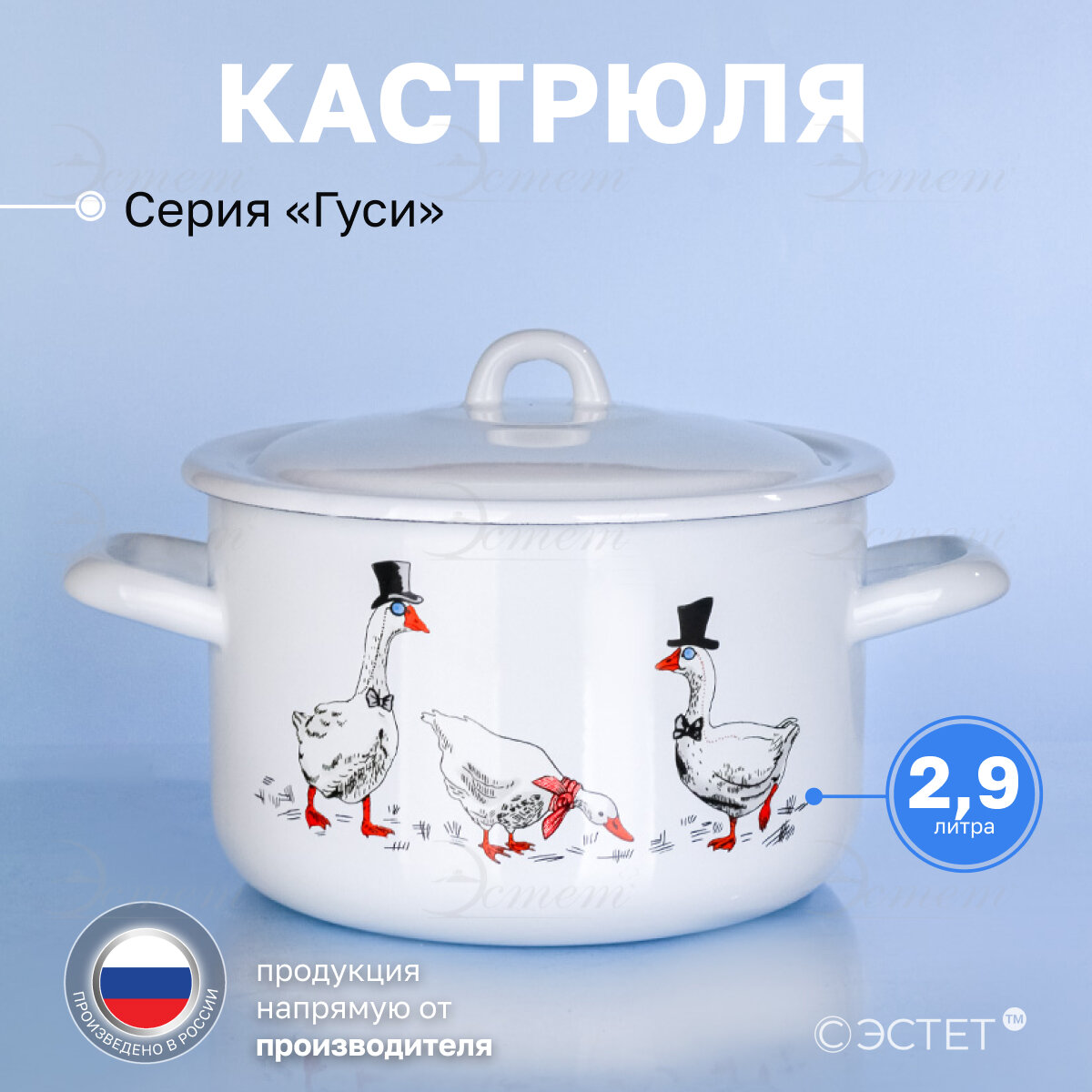 Кастрюля эмалированная для плиты 2.9 л