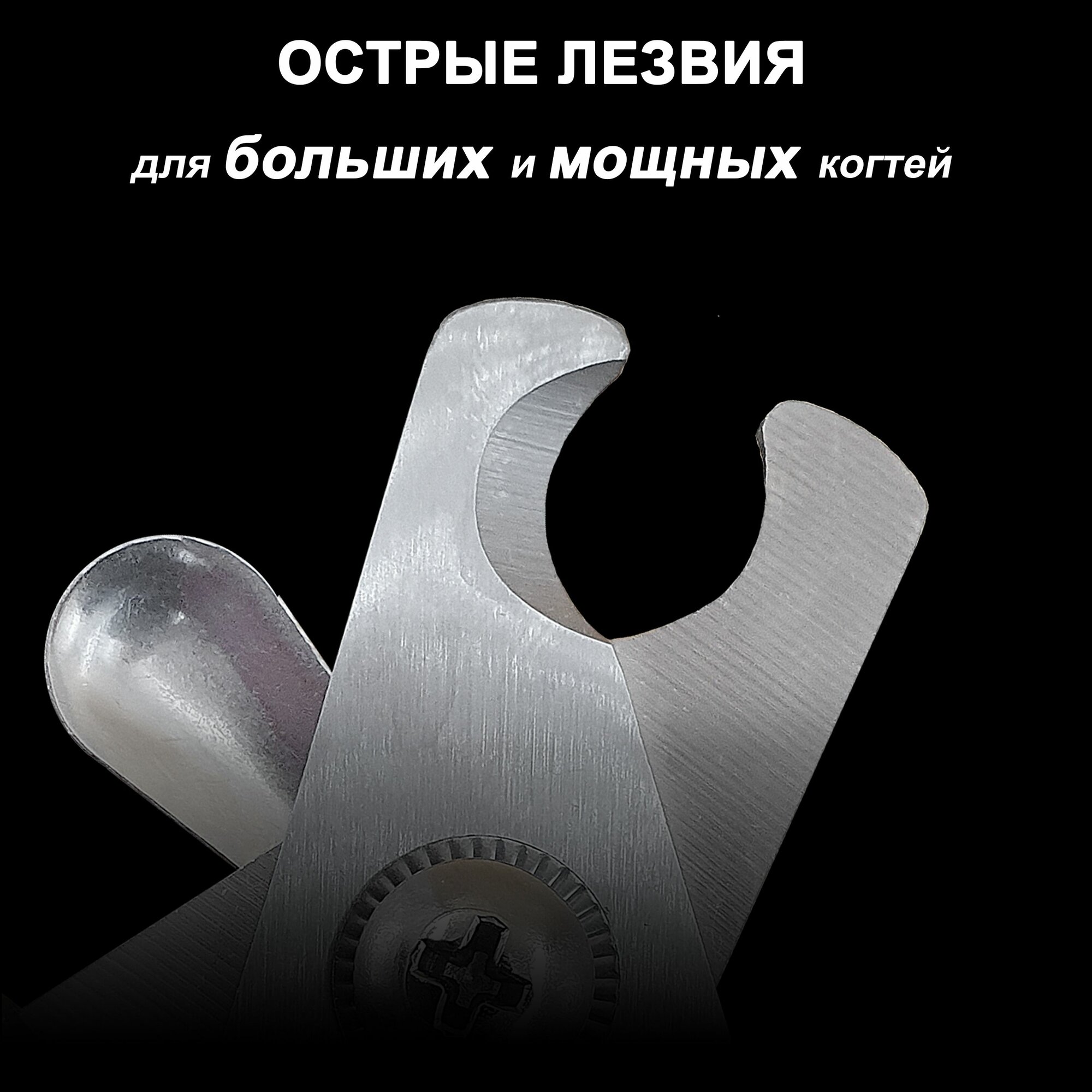 Изображение Премиум Когтерез для больших и средних собак. Безопасная когтерезка с ограничителем для мелких, средних и крупных пород.