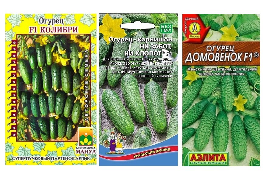 Набор семян огурцов Хлопоты хозяйки (Огурец-корнишон Ни забот ни хлопот Колибри Домовенок)