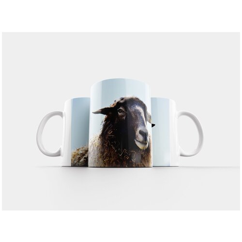 фото Кружка "овец, шерсть, животное" 320 мл lotsprints