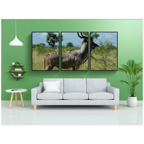 фото Набор модулных постеров для интерьера "антилопа, млекопитающее, дикая природа" 60x90 см. в тубусе, без рамки lotsprints