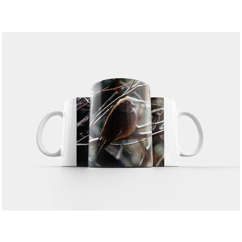 фото Кружка "воробей, зима, ветвь" 320 мл lotsprints