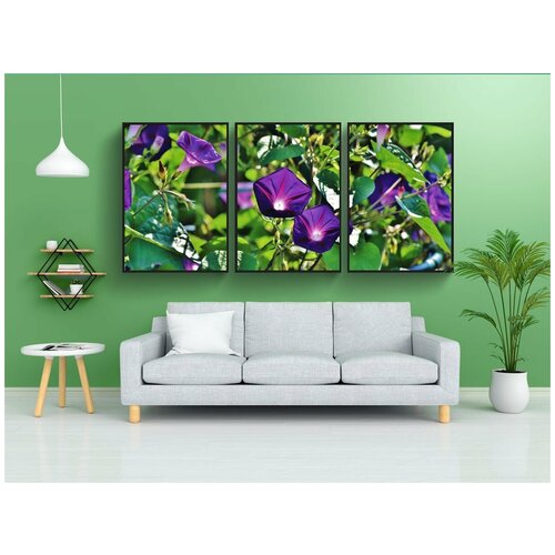 фото Набор модулных постеров для интерьера "великолепные ветры, утренняя слава, вьюнок" 60x90 см. в тубусе, без рамки lotsprints