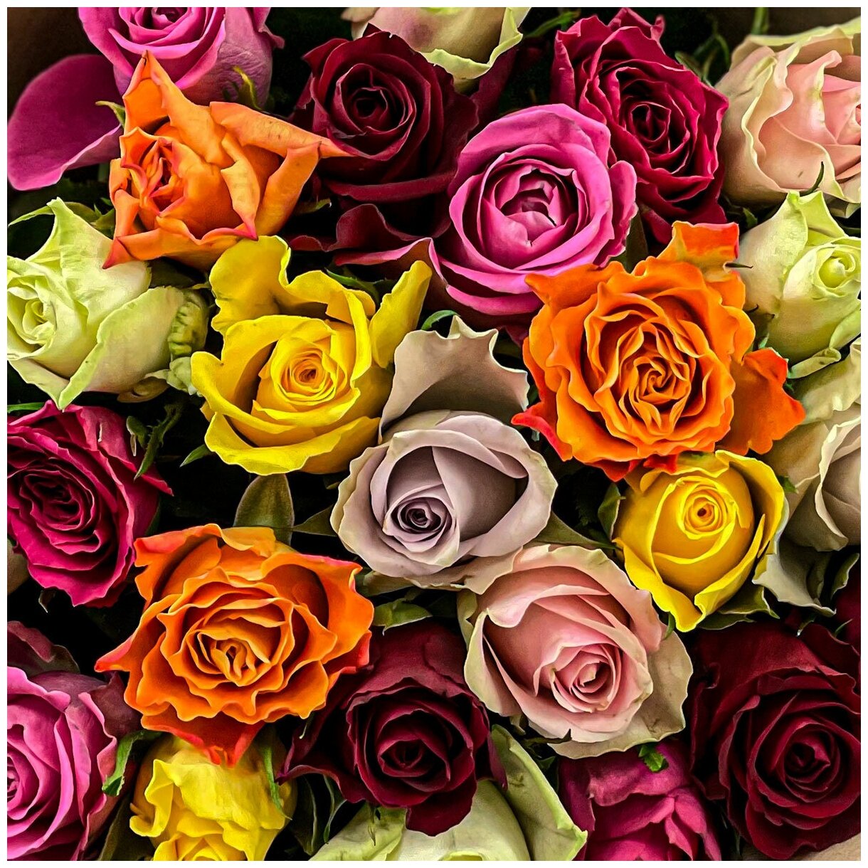 Букет живых цветов из 11 разноцветных роз 40см в крафте